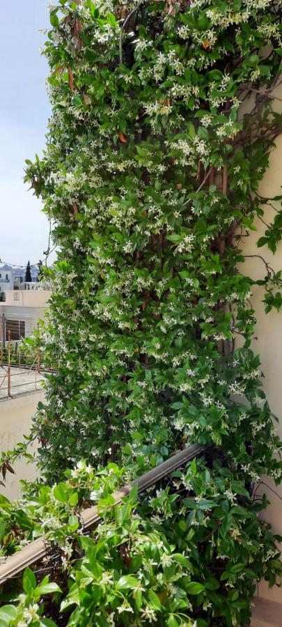Olympic Fashion Hotels Athens Exterior photo